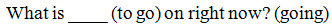 Write-on-line within a question; answer cue is in parentheses after the question