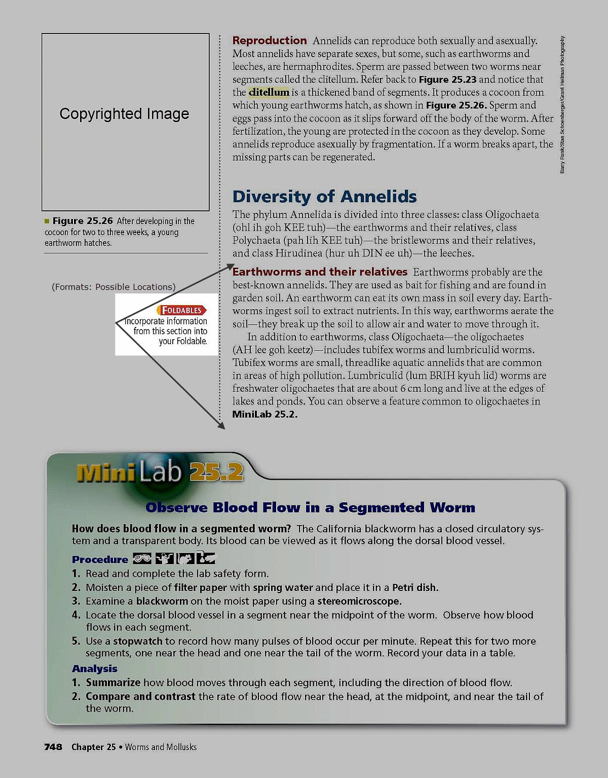 Sidebar with student instruction related to the paragraph