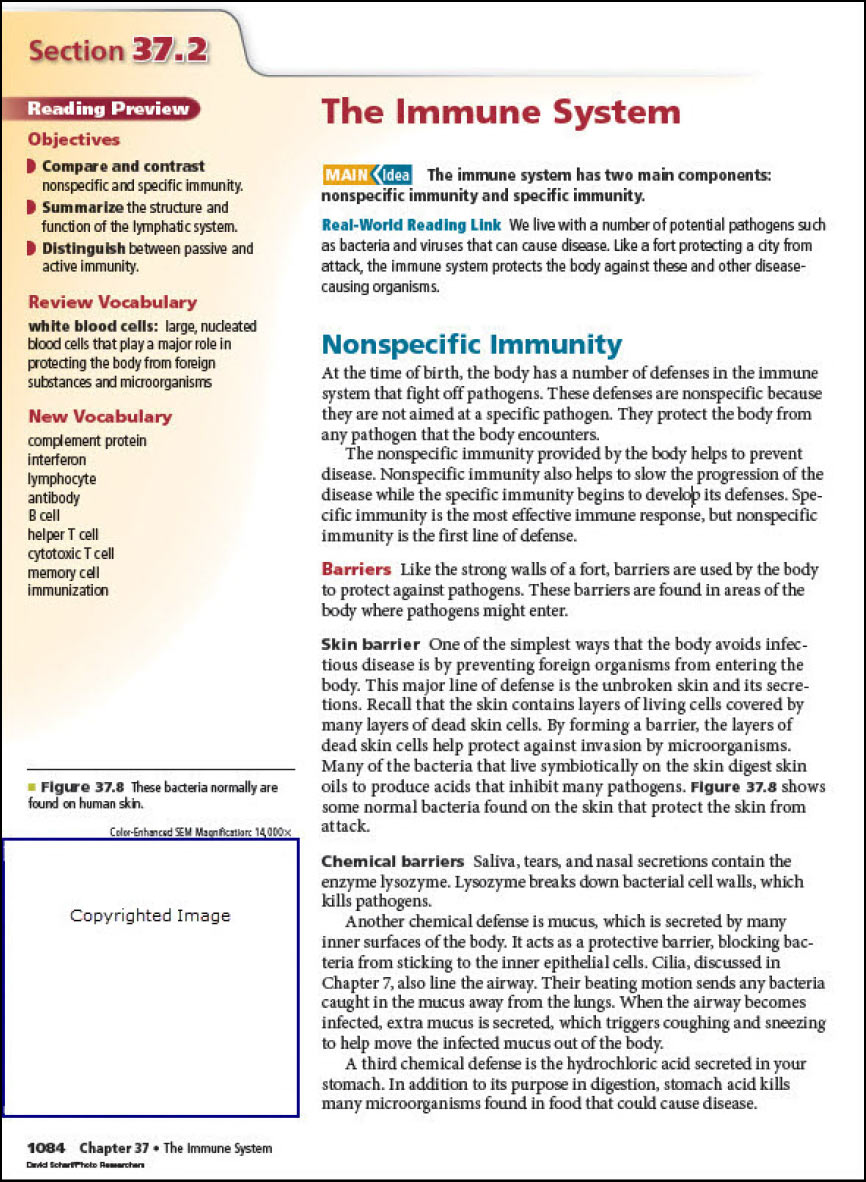 Page with multiple heading levels